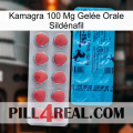 Kamagra 100 Mg Gelée Orale Sildénafil new14